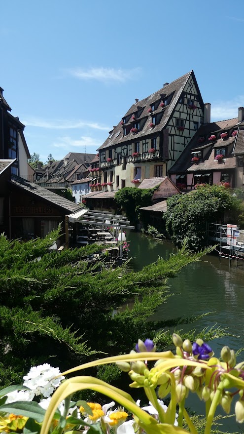 voyage randonne pedestre en alsace section rando arcl robion 1